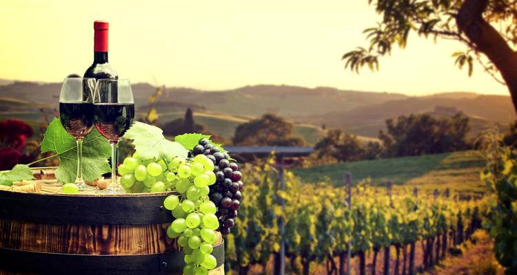 Séjour en Italie avec la Tour de Pise - Wanderful Holidays LLC 2