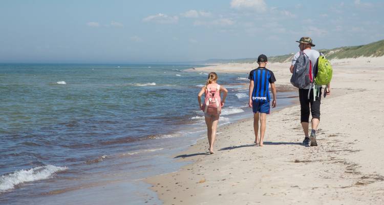Trek au bord de la mer en Lithuanie : Isthme de Courlande, Palanga, Cap Ventė - Baltic Bike Travel UAB 1