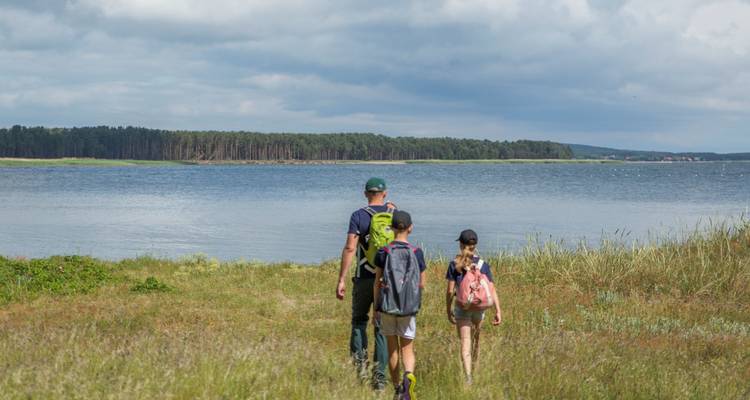 Trek au bord de la mer en Lithuanie : Isthme de Courlande, Palanga, Cap Ventė - Baltic Bike Travel UAB 6