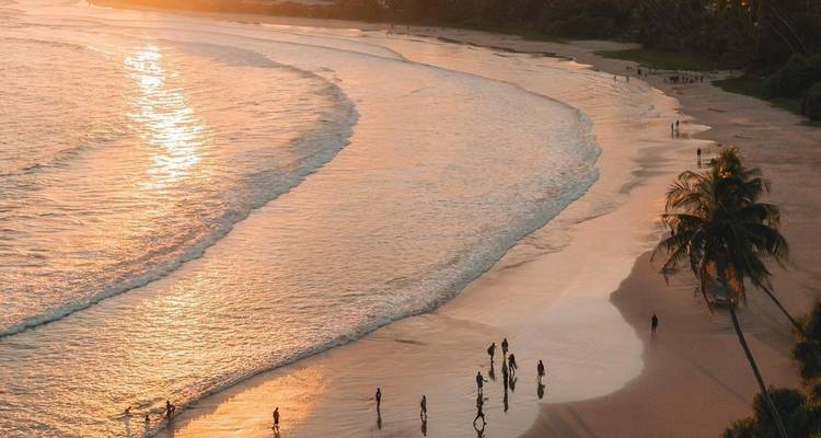 Les points culminants du pays des merveilles - 12 jours [ Prix abordable ] Hiver - showlanka tours  6
