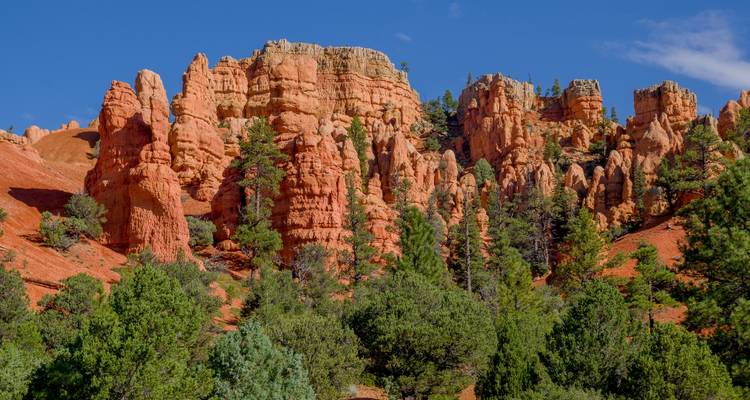 Western Discovery - Travel Talk 8
