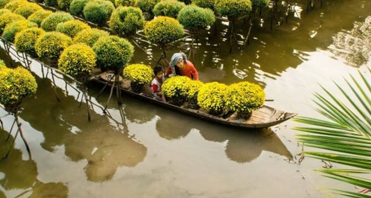 Traditional wooden boat laden with yellow flower pots floats through a flooded plant nursery.