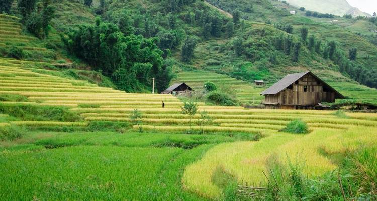 Une expérience de 15 jours au Vietnam et au Cambodge - Vietnam Tour Fun 3