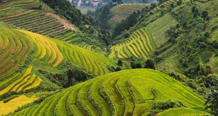 La beauté du nord du Vietnam en 8 jours - Vietnam Tour Fun 8