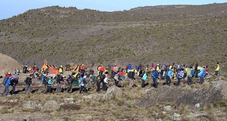11 Days Mount Kilimanjaro Climb Northern Circuit Route. (all Accommodation & Transport are included) - Click Expeditions 9