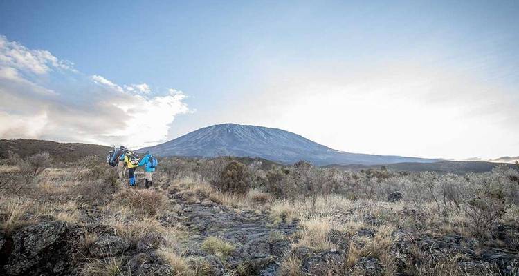 10 días ascenso Kilimanjaro ruta circuito norte - todo incluido Transporte y alojamiento - Click Expeditions 9