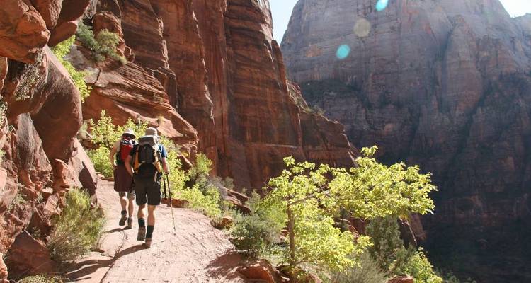 Wandelaars die langs het pad in Zion National Park lopen.