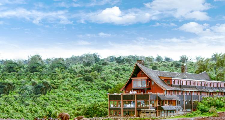 4 Days Whispers of the Wild | Scenic Splendor ( Aberdare National park) - African Breeze Safaris 2
