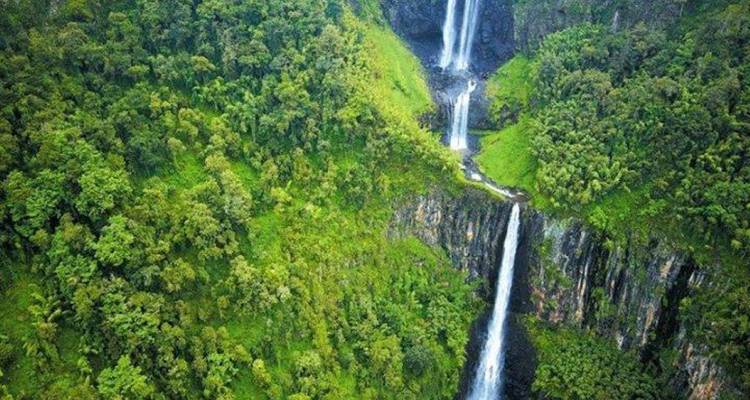 4 Days Whispers of the Wild | Scenic Splendor ( Aberdare National park) - African Breeze Safaris 4