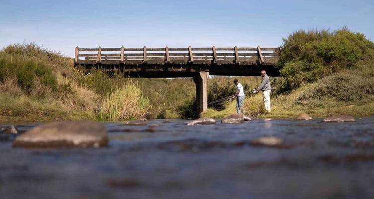 4 Days Whispers of the Wild | Scenic Splendor ( Aberdare National park) - African Breeze Safaris 6