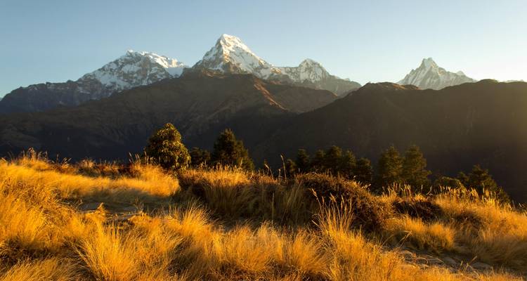 Ghorepani Poon Hill Mardi Himal Trek - 11 jours - Adventure Himalayan Travels 2
