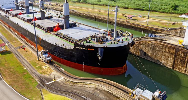 Cargo dans un canal avec de la verdure environnante.