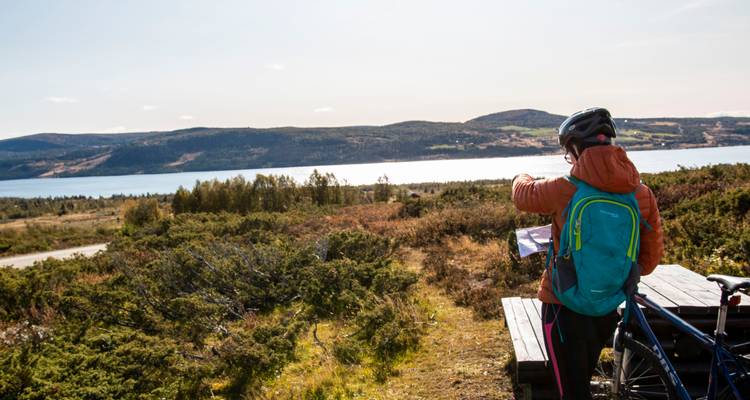 Personne avec un vélo regardant une carte au bord d'un lac pittoresque
