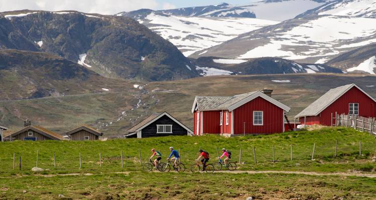 Cottages dans un paysage rural avec des personnes à vélo