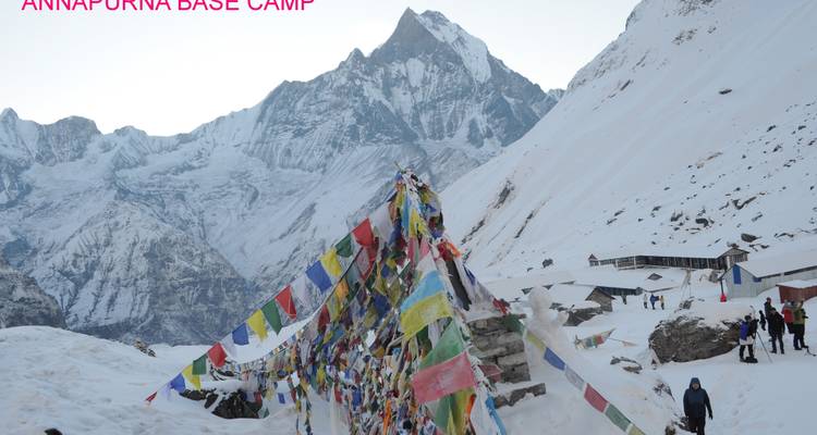 Trek de luxe du camp de base de l'Annapurna, retour en hélicoptère - 8 jours - Adventure Himalayan Travels 6