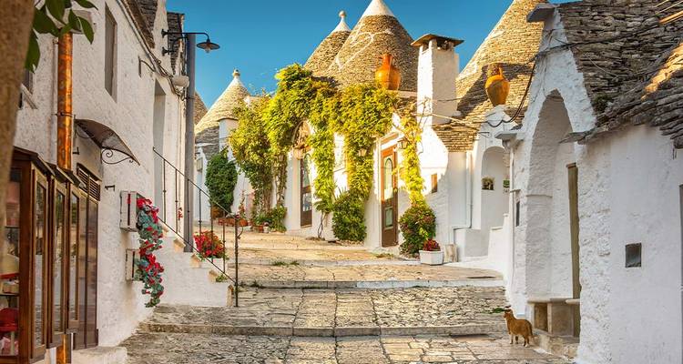Pittoreske laan omzoomd met witgekalkte trulli-huizen met kegelvormige stenen daken en bedekt met wijnranken en bloemen.