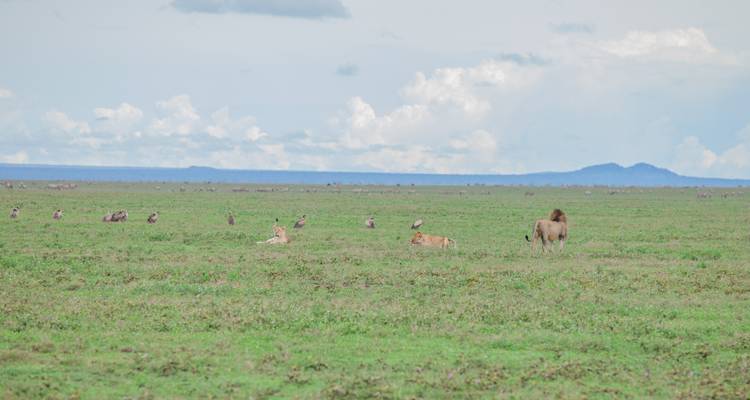 Safari dans le parc national d'Arusha, à Materuni et aux sources d'eau chaude de Kikuletwa - Zara Tours (Zara Tanzania Adventures) 2