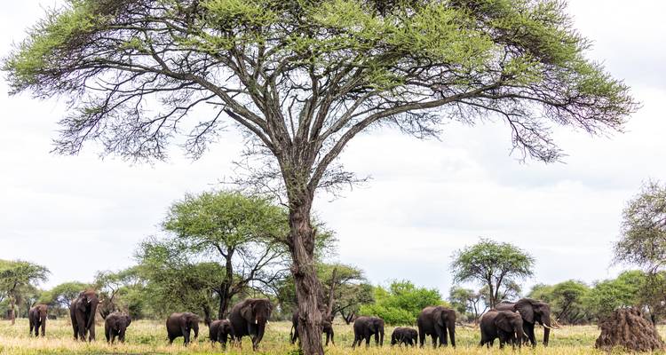 Safari dans le parc national d'Arusha, à Materuni et aux sources d'eau chaude de Kikuletwa - Zara Tours (Zara Tanzania Adventures) 3