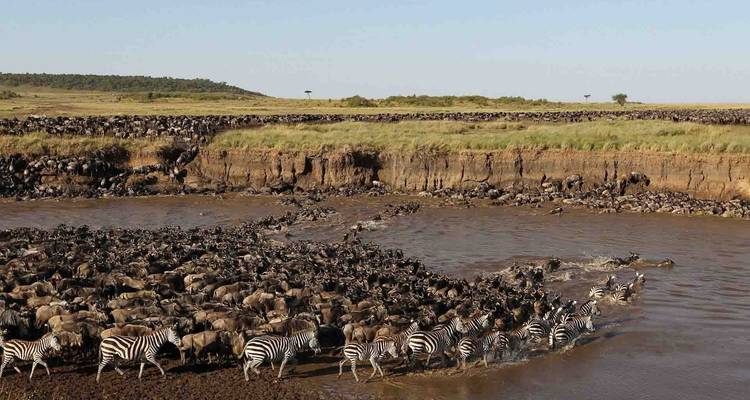 Lo mejor del safari por el Serengeti y el lago Victoria - Zara Tours (Zara Tanzania Adventures) 9