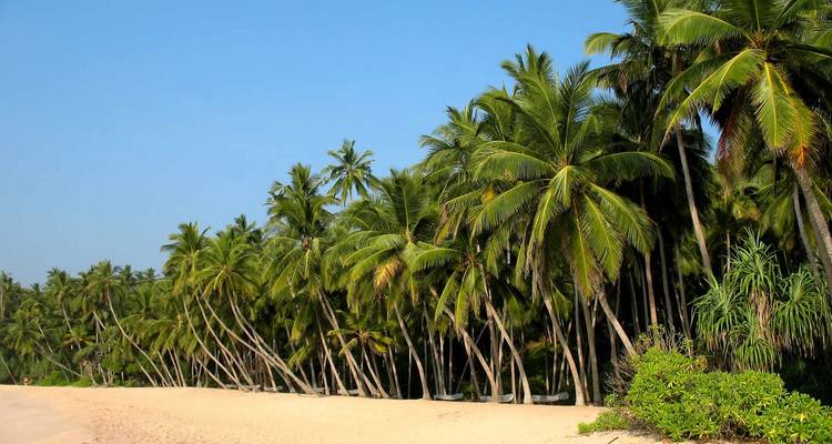 Circuito privado sin barreras a Sri Lanka 2023 - Sri Holidays 2