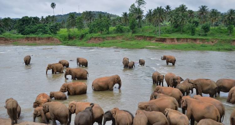 Circuito privado sin barreras a Sri Lanka 2023 - Sri Holidays 4