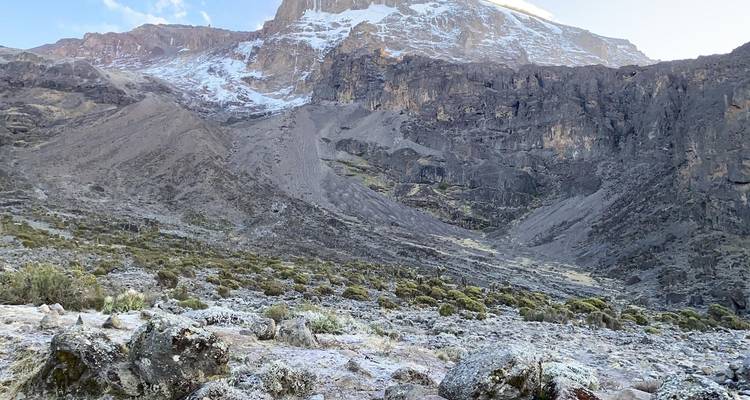 Kilimanjaro ruta Umbwe 8 días *todo incluido - Zara Tours (Zara Tanzania Adventures) 2