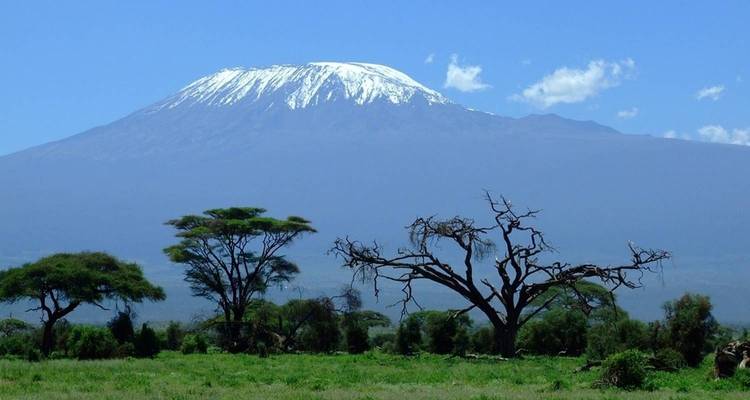 Kilimanjaro ruta Umbwe 8 días *todo incluido - Zara Tours (Zara Tanzania Adventures) 7