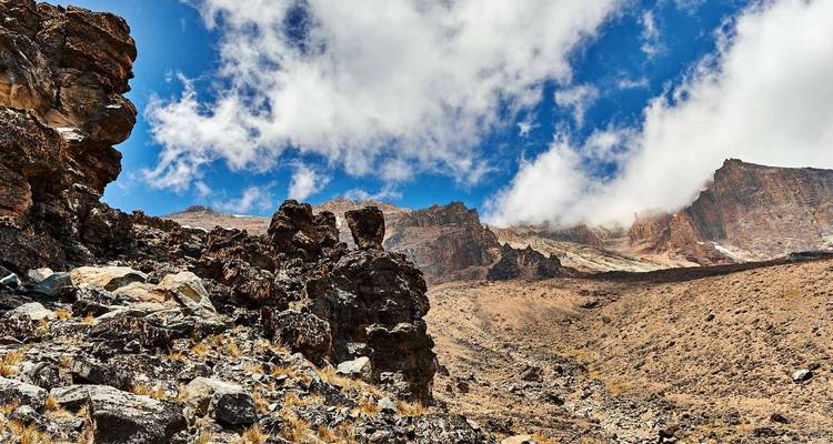 Kilimanjaro ruta Umbwe 8 días *todo incluido - Zara Tours (Zara Tanzania Adventures) 10