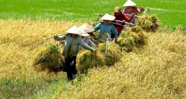 Circuito de descubrimiento de Vietnam - Oferta 2 por 1 - Tweet World Travel 4