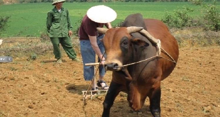 Circuito de descubrimiento de Vietnam - Oferta 2 por 1 - Tweet World Travel 6