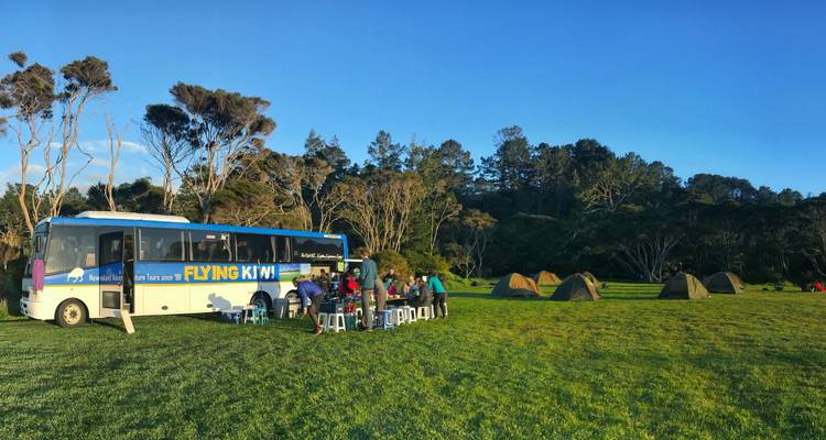 Gran Travesía desde Auckland - Mejor valorada por National Geographic - Flying Kiwi 2