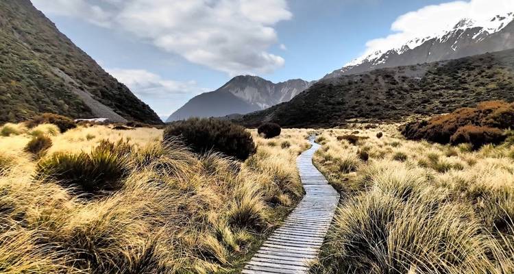 Gran Travesía desde Auckland - Mejor valorada por National Geographic - Flying Kiwi 8