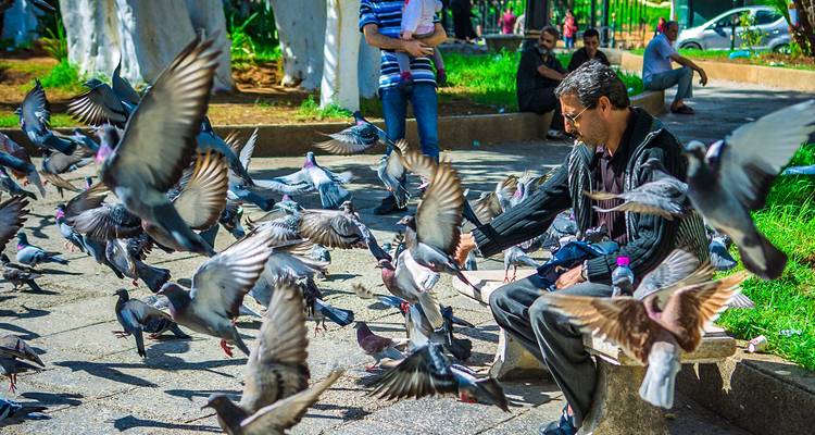 Circuit familial sur mesure de 11 jours en Algérie, départ quotidien et guide privé - Agate Travel 6