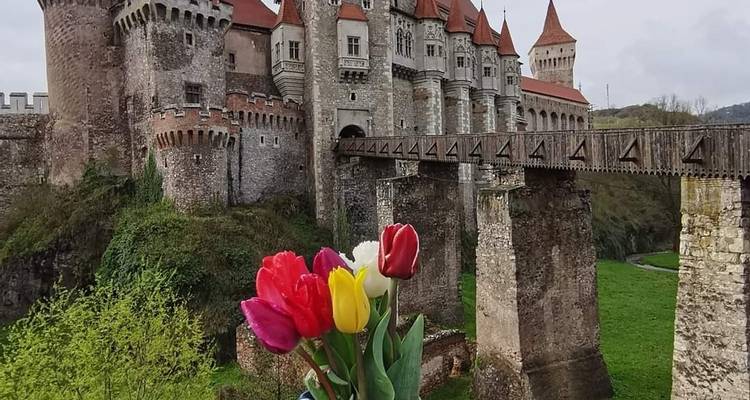 The Legend of Dracula - 8 day Private Tour in Transylvania with Airport Pickup and Drop Off - Transylvania Discovery Tours 8