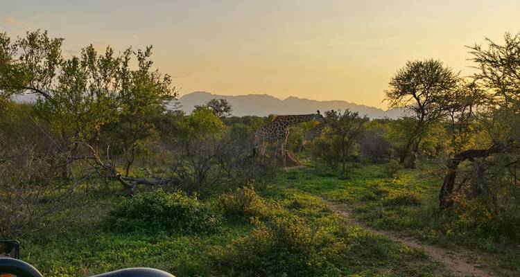 Voyage en Afrique du Sud - MW Tours 4