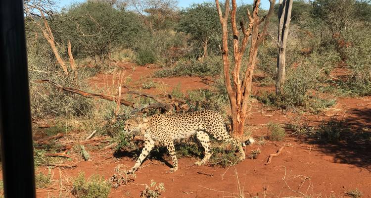 Voyage en Afrique du Sud - MW Tours 6