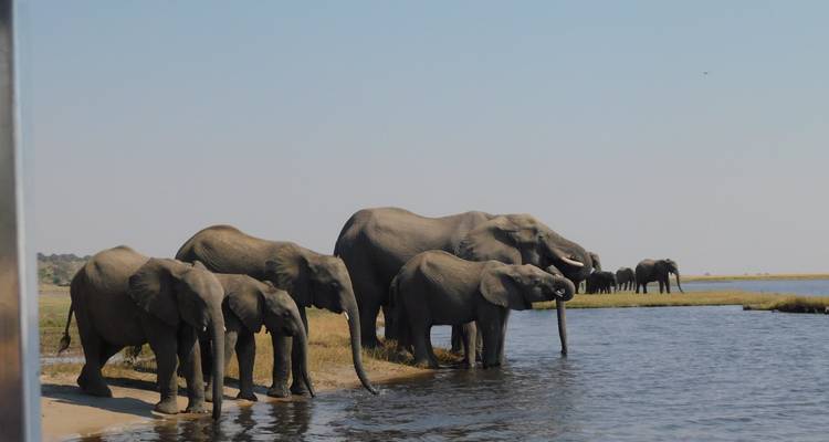 3-Days Siavonga (Home of Kariba Dam): A lovely gateway from Lusaka and a Wildlife Safari to Kariba (Zimbabwe) - Lochinvar Safaris 7
