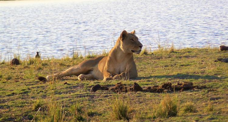 3-Days Siavonga (Home of Kariba Dam): A lovely gateway from Lusaka and a Wildlife Safari to Kariba (Zimbabwe) - Lochinvar Safaris 10