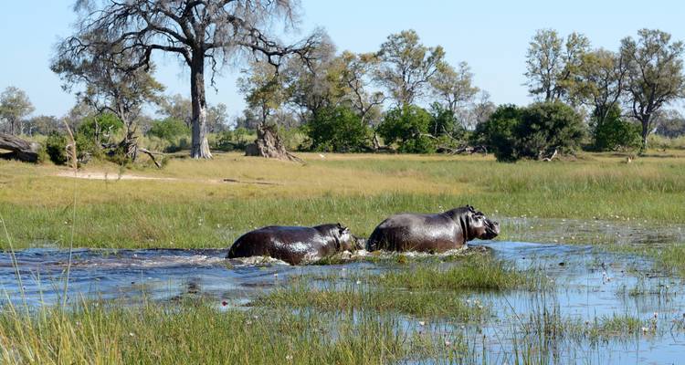 3-Days Siavonga (Home of Kariba Dam): A lovely gateway from Lusaka and a Wildlife Safari to Kariba (Zimbabwe) - Lochinvar Safaris 4