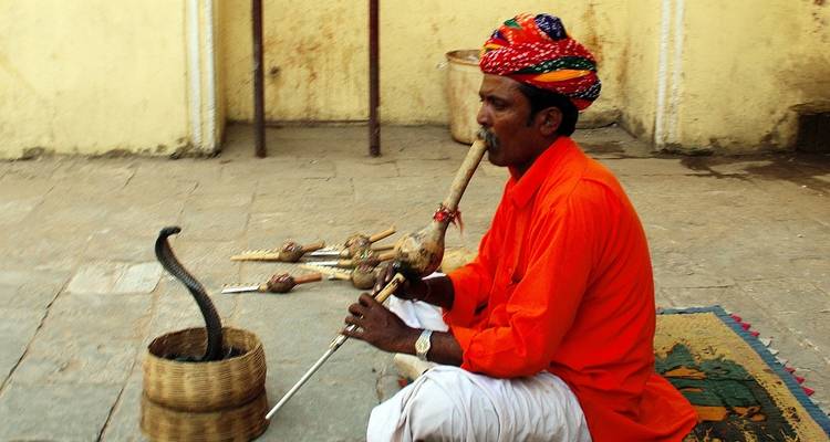 Golden Triangle Tour with Ranthambore & Jhalana Leopard Safari (Taj, Tigers and Leopards) - Joyful Holidays 4