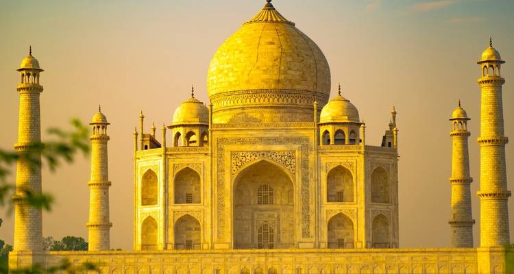 Golden Triangle Tour with Ranthambore & Jhalana Leopard Safari (Taj, Tigers and Leopards) - Joyful Holidays 1