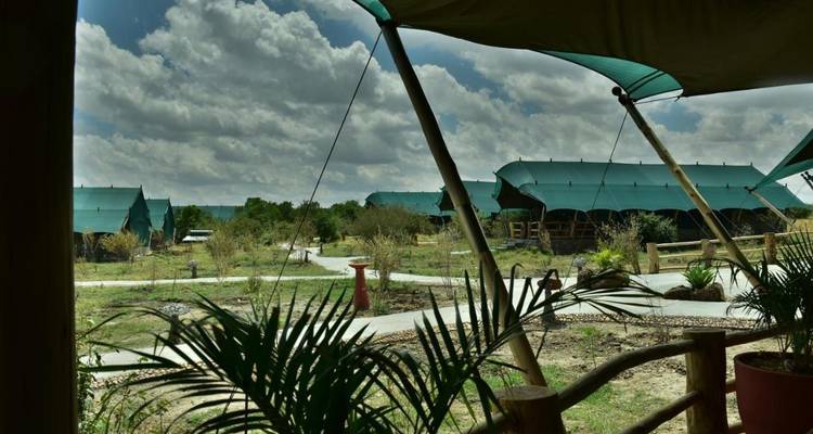 Safari de 4 días en Masai Mara en avión - African Breeze Safaris 6