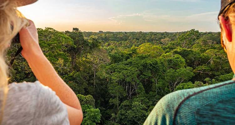 Des gens observant une vue luxuriante de forêt tropicale.