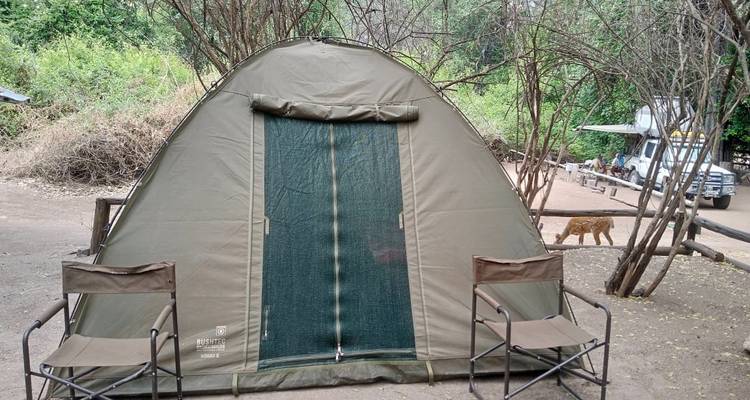 7 jours de safari dans le parc national de Chobe, à Savuti et aux chutes Victoria - Little Roz Tours 7