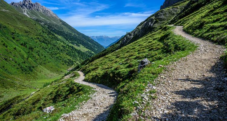 Un sentier de montagne sinueux traverse des pentes verdoyantes luxuriantes avec des sommets alpins distants et un ciel bleu.
