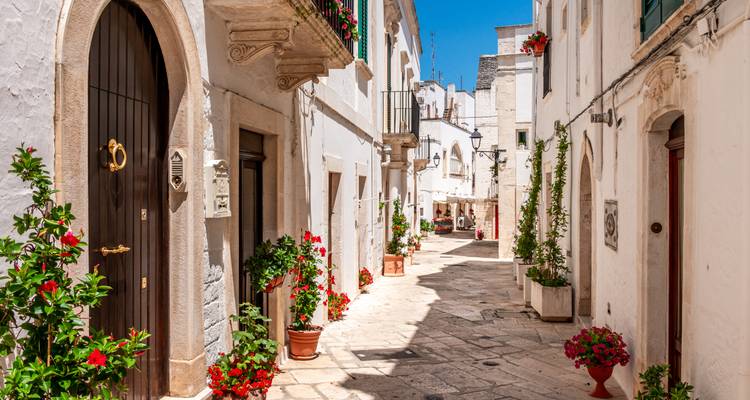 Charmante Gasse aus weißem Stein in Locorotondo mit roten Blumen unter tiefblauem Himmel