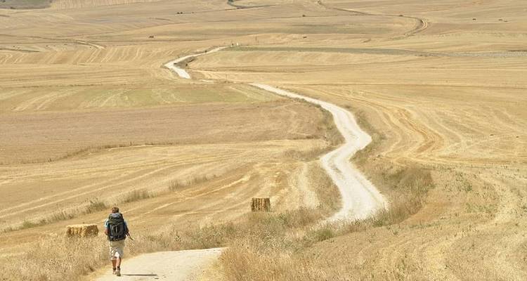Walking across the Pyrenees on the Camino Frances - Exodus Adventure Travels 5