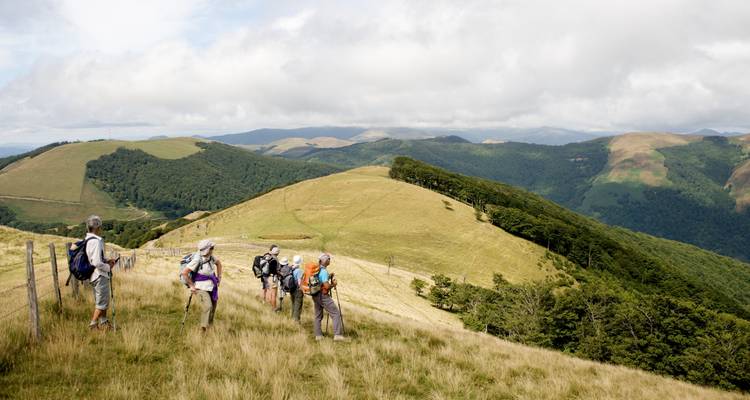 Walking across the Pyrenees on the Camino Frances - Exodus Adventure Travels 10