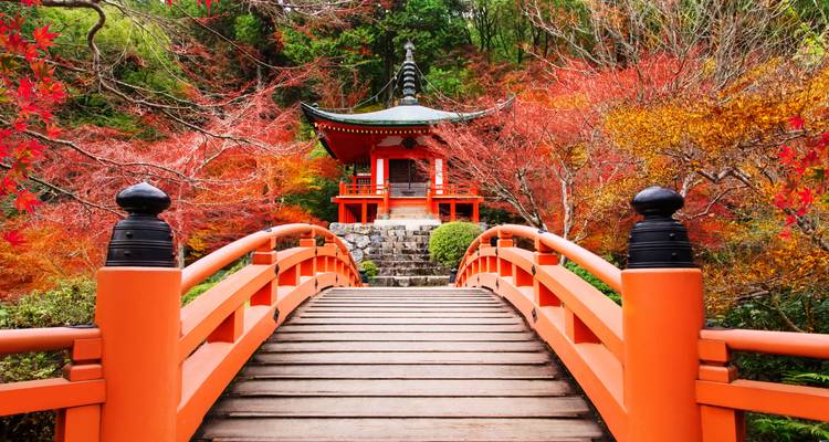 Marcher sur le Kumano Kodo - Exodus Adventure Travels 3
