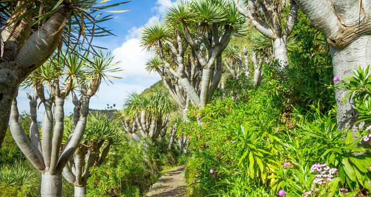 Contrastes de Gran Canaria - Exodus Adventure Travels 6
